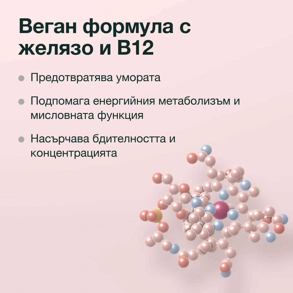 Шипка, желязо, фолиева киселина и B12: Веган формула с желязо и B12