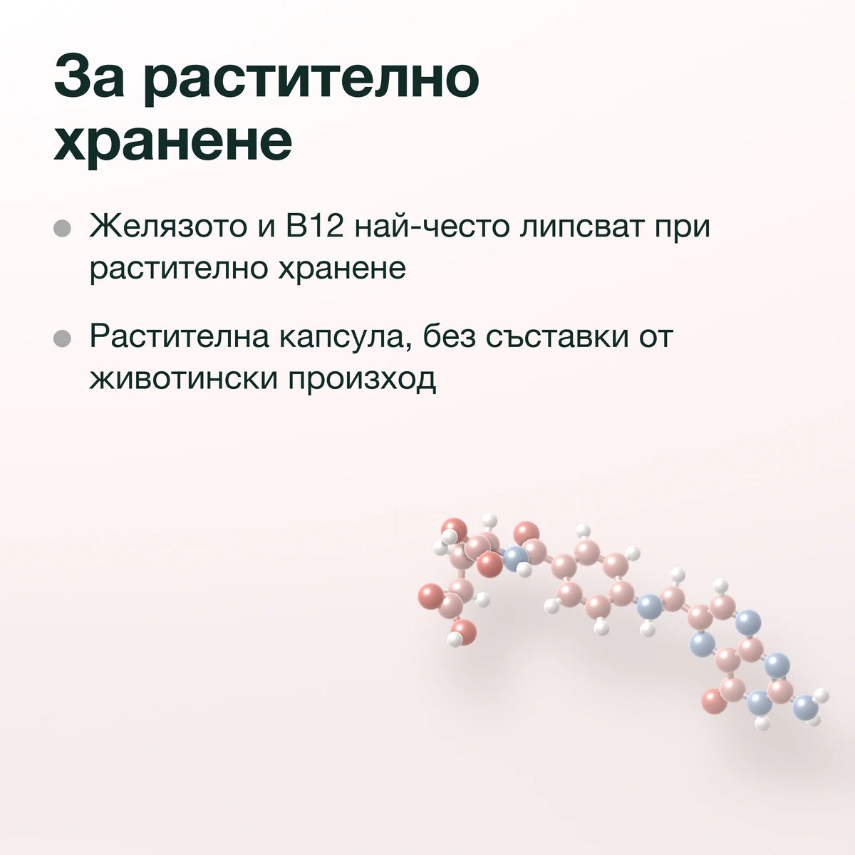 Шипка, желязо, фолиева киселина и B12: За растително хранене