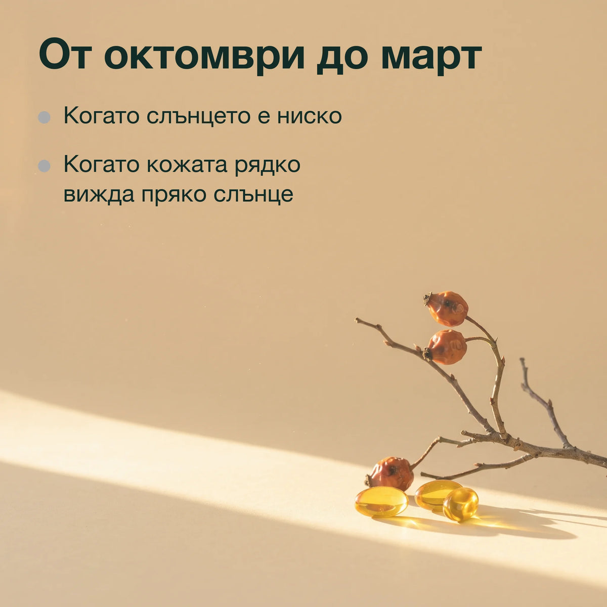 Шипково масло с витамин D3: От октомври до март